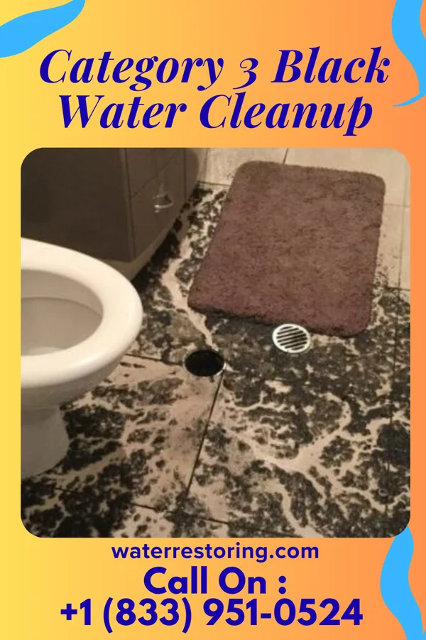 Category 3 Black Water Cleanup in Lake Stickney, WA