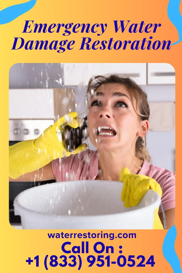 Emergency Water Damage Restoration in Lake Stickney, WA